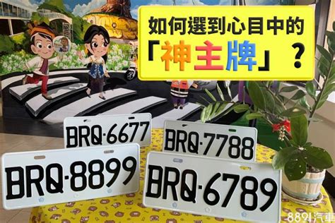 車牌要怎麼選|車牌怎麼選比較好？2種方式4個技巧報你知